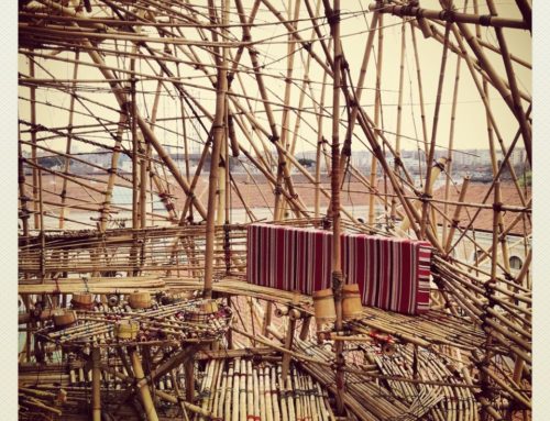 Bambù: l’architettura è natura